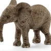 Afrika elefant unge