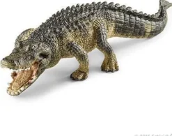 Alligator