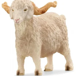 Angora ged