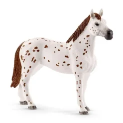 Appaloosa heste træning