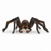 Aragog