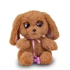 Baby Paws Hund
