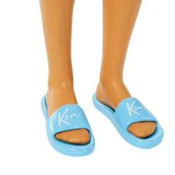 Barbie Strand Ken Dukke