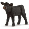 Black Angus-kalv