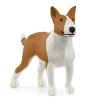 Bull Terrier