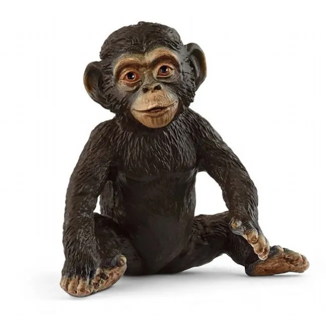 Chimpansee Ungdyr