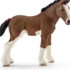 Clydesdale føl