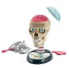 Crazy Anatomy