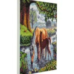 Crystal Art Ponyer 30x30 cm