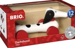 Dachsie Pull along hund 60 år