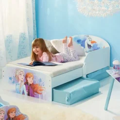 Disney Frost juniorseng m. madras