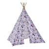 Disney Frozen Tipi telt
