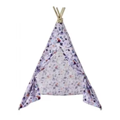 Disney Frozen Tipi telt