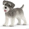 Dværgschnauzer