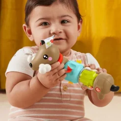 Fisher Price Click + Spin Activity Hvalp