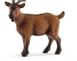 Ged