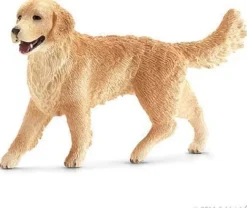 Golden retriever, hun
