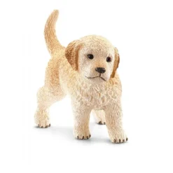 Golden retriever, hvalp
