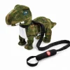 Happy Pets Dance with Me Dinosaur