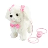 Happy Pets Puddel i Snor