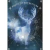 Harry Potter Plakat 91,5 x 61 cm