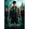 Harry Potter Plakat 91,5x61 cm