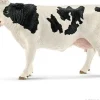 Holstein-ko