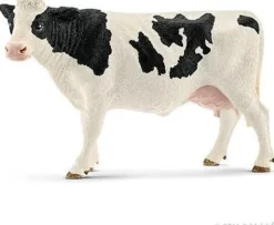 Holstein-ko