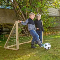 Homegoal Classic Micro