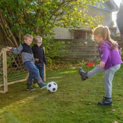 Homegoal Classic Micro