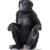 Hunbonobo abe
