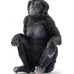 Hunbonobo abe
