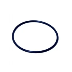 Intex Elektrode O-ring til 26676 og 2668