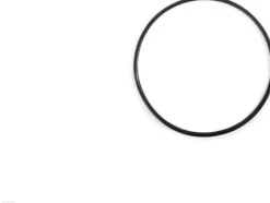 Intex O-ring til sandfilter pumpe