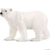Isbjørn