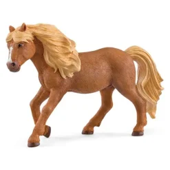 Islandsk Ponnyhingst