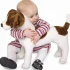 Jack Russell Terrier i plys