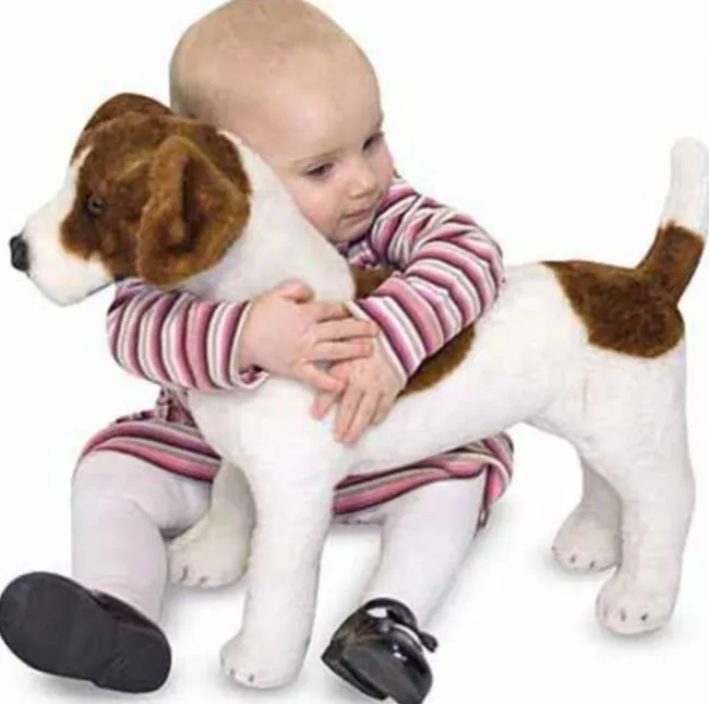 Jack Russell Terrier i plys
