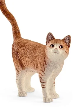 Kat