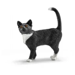 Kat, stående