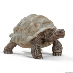 Kæmpeskildpadde