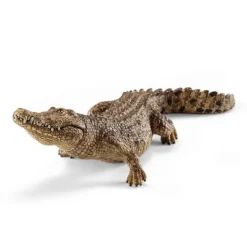 Krokodille