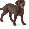 Labrador Retriever, hun