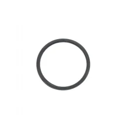 Lay-Z-Spa O-ring til indløb