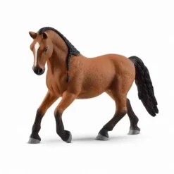Lipizzaner-hoppe