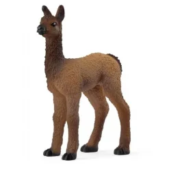 Llama Foal