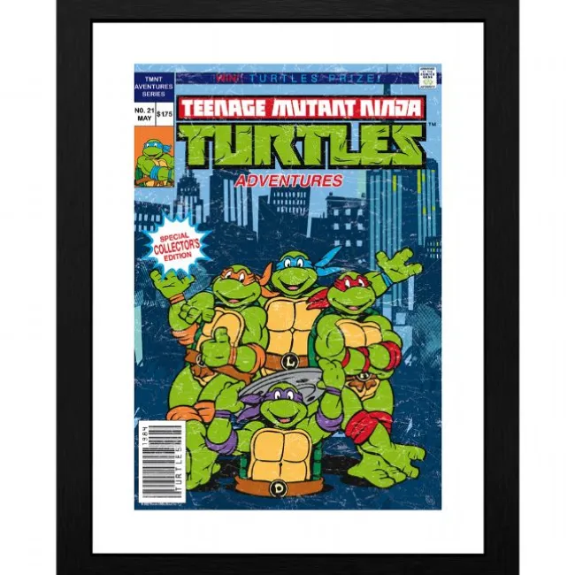 Ninja Turtles Plakat 30x40 cm