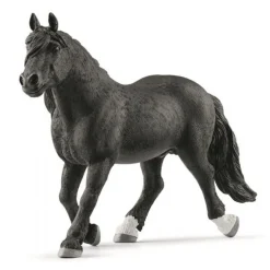 Noriker-hingst