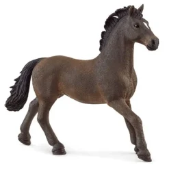 Oldenburg Hingst