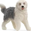 Old English Sheepdog hund